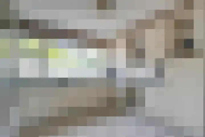 Waterhoenhof 19 Purmerend thumbnail 4