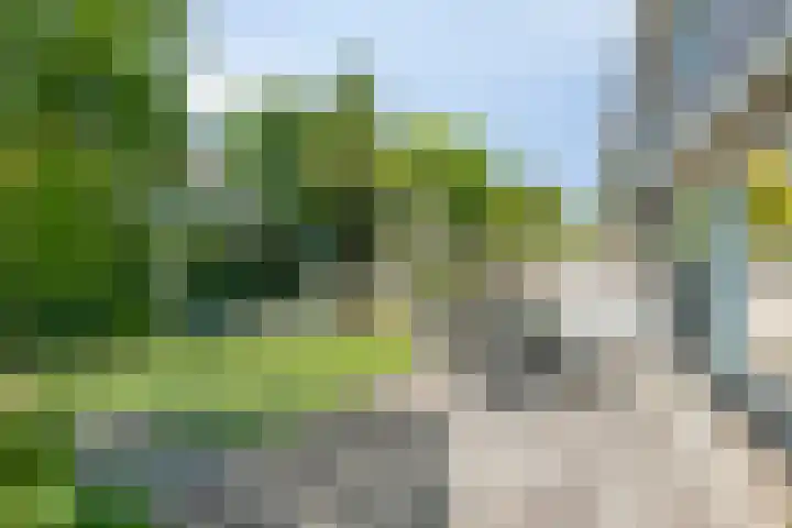 Waterhoenhof 19 Purmerend thumbnail 6