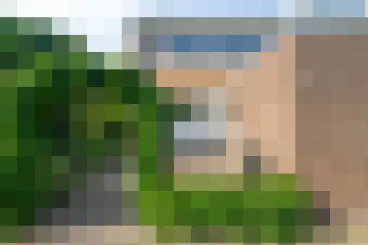 Waterhoenhof 19 Purmerend thumbnail 7