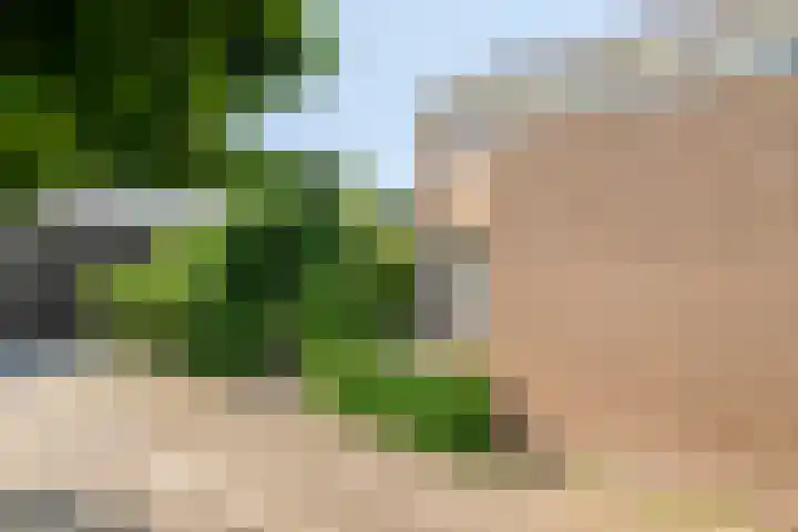 Waterhoenhof 19 Purmerend thumbnail 8