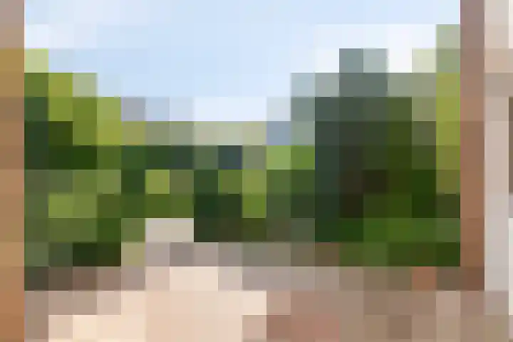 Waterhoenhof 19 Purmerend thumbnail 9
