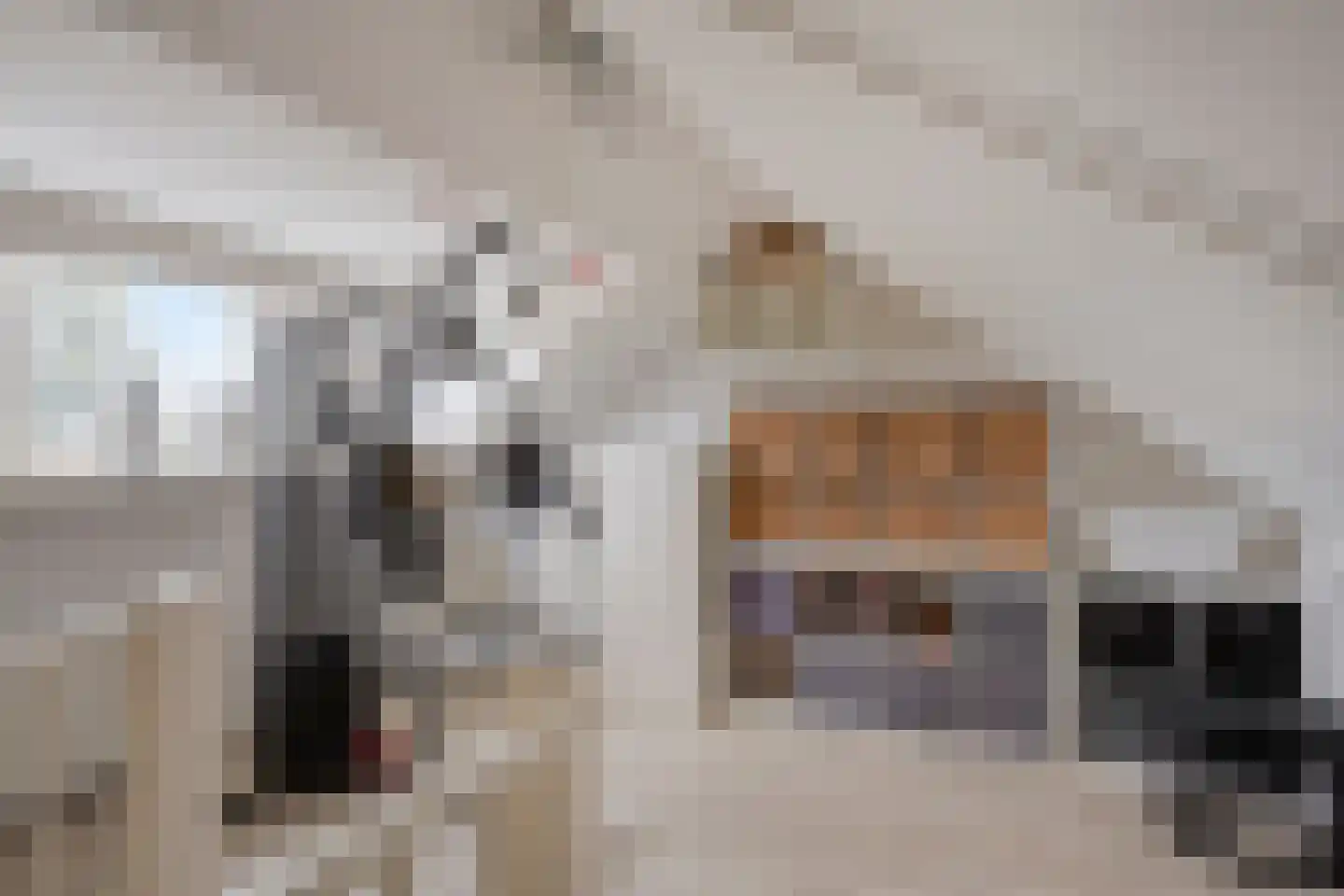 Waterhoenhorst 5 Grave thumbnail 24