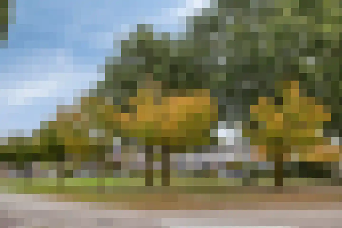 Waterhoenhorst 5 Grave thumbnail 39