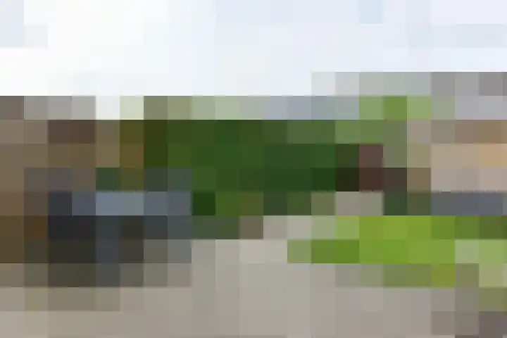 Waterhoenlaan 17 Vinkeveen thumbnail 21