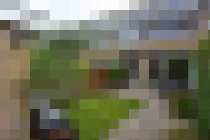 Waterhoenlaan 17 Vinkeveen thumbnail 22