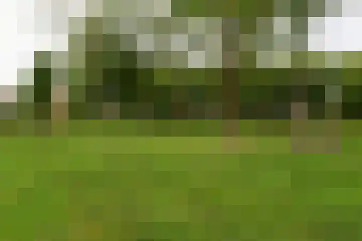 Waterhoenlaan 17 Vinkeveen thumbnail 26