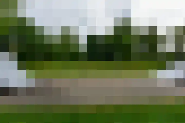 Waterhoenlaan 17 Vinkeveen thumbnail 27