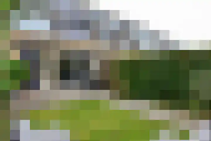 Waterhoenlaan 17 Vinkeveen thumbnail 4