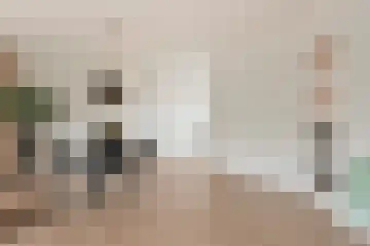 Waterhoenlaan 17 Vinkeveen thumbnail 7