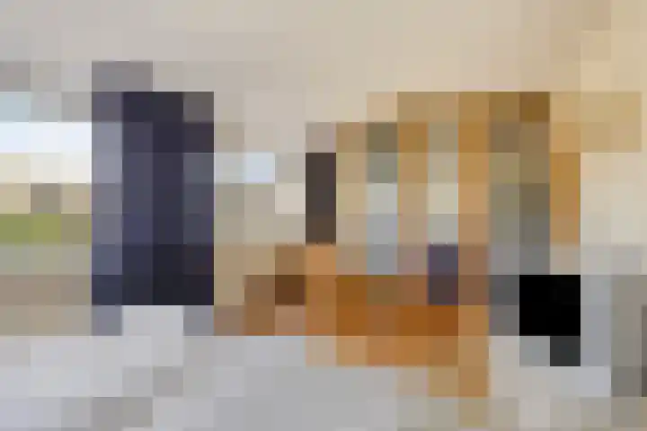 Waterhoenlaan 19 Vinkeveen thumbnail 23