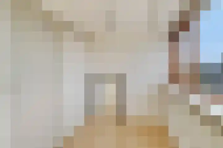 Waterhoenlaan 19 Vinkeveen thumbnail 36