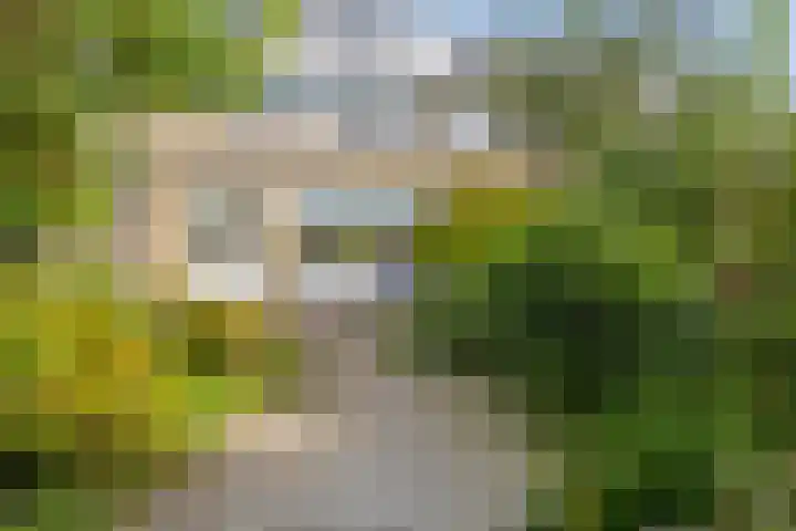 Waterhoenlaan 19 Vinkeveen thumbnail 39