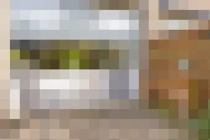 Waterhoenlaan 19 Vinkeveen thumbnail 42