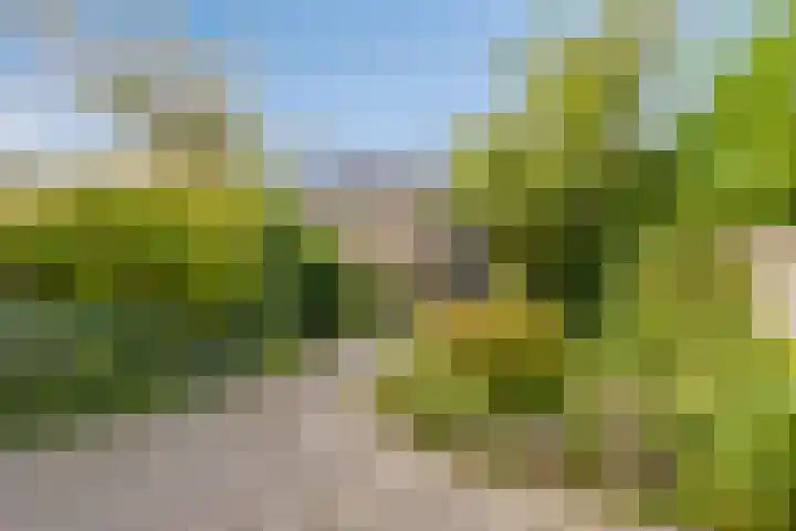 Waterhoenlaan 19 Vinkeveen thumbnail 43