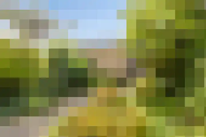 Waterhoenlaan 19 Vinkeveen thumbnail 44