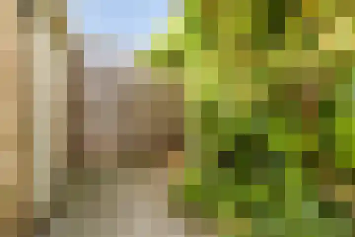 Waterhoenlaan 19 Vinkeveen thumbnail 45