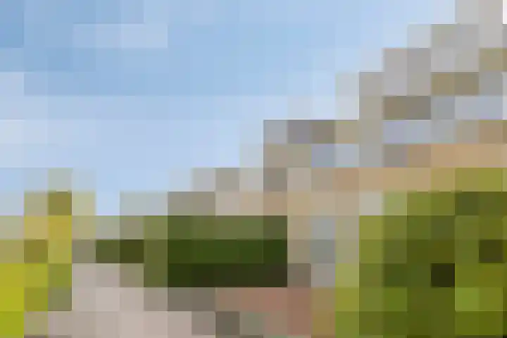 Waterhoenlaan 19 Vinkeveen thumbnail 47
