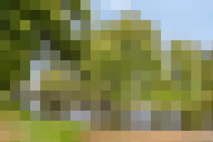 Waterhoenlaan 19 Vinkeveen thumbnail 50