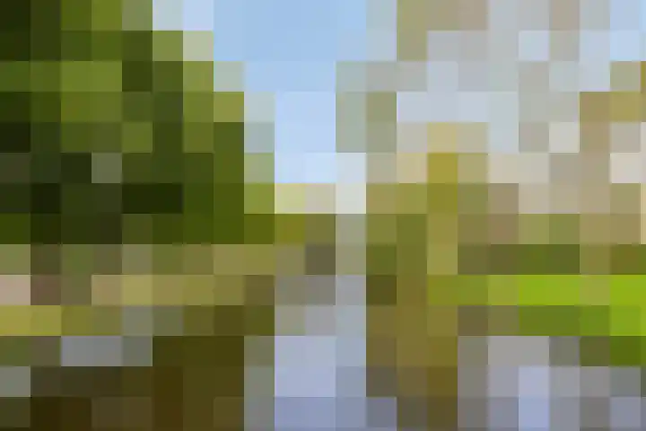 Waterhoenlaan 19 Vinkeveen thumbnail 51