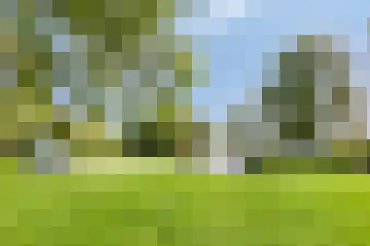Waterhoenlaan 19 Vinkeveen thumbnail 52