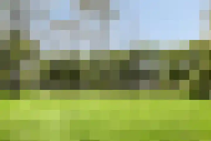 Waterhoenlaan 19 Vinkeveen thumbnail 53