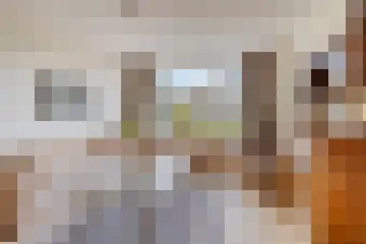 Waterhoenlaan 19 Vinkeveen thumbnail 6