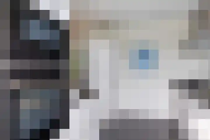 Waterhoenlaan 2 Bilthoven thumbnail 18