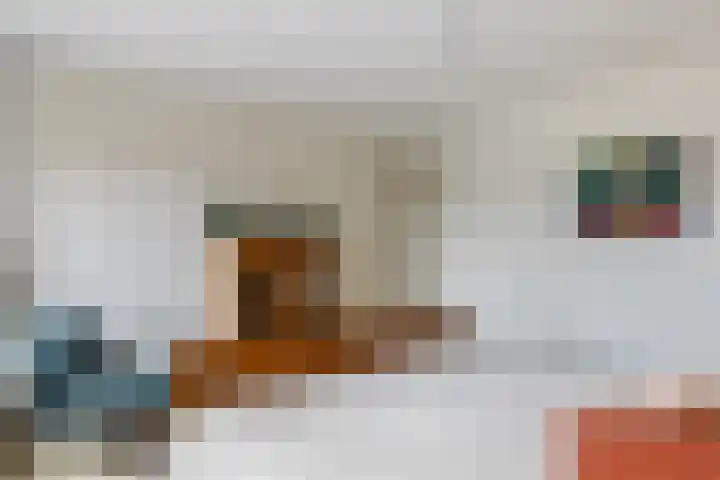 Waterhoenlaan 2 Bilthoven thumbnail 21