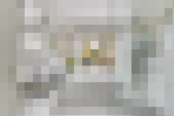Waterhoenlaan 2 Bilthoven thumbnail 26