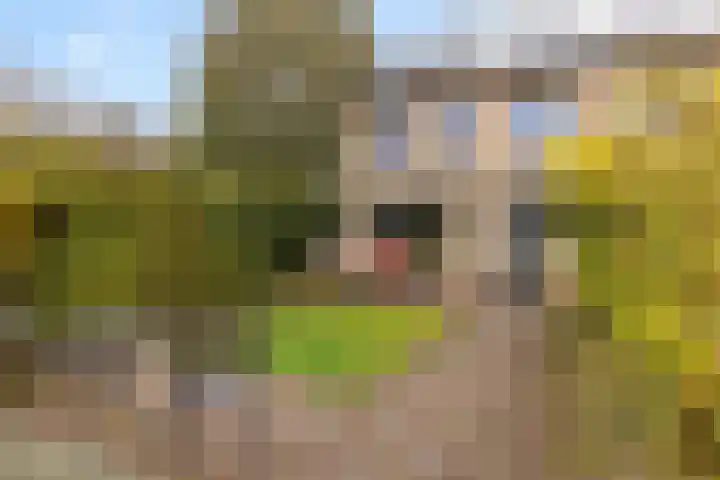 Waterhoenlaan 2 Bilthoven thumbnail 35