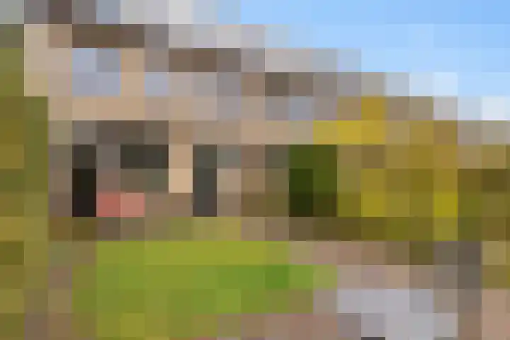 Waterhoenlaan 2 Bilthoven thumbnail 36