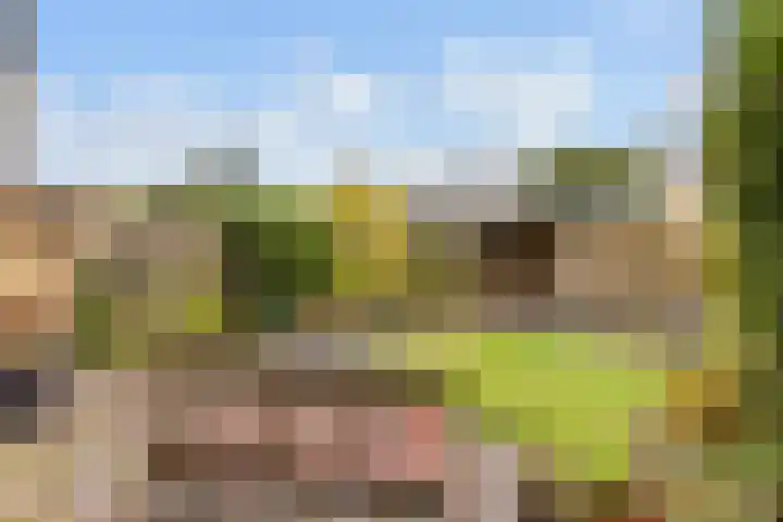 Waterhoenlaan 2 Bilthoven thumbnail 37