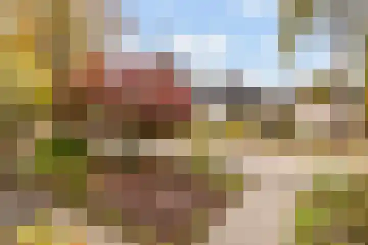 Waterhoenlaan 2 Bilthoven thumbnail 39