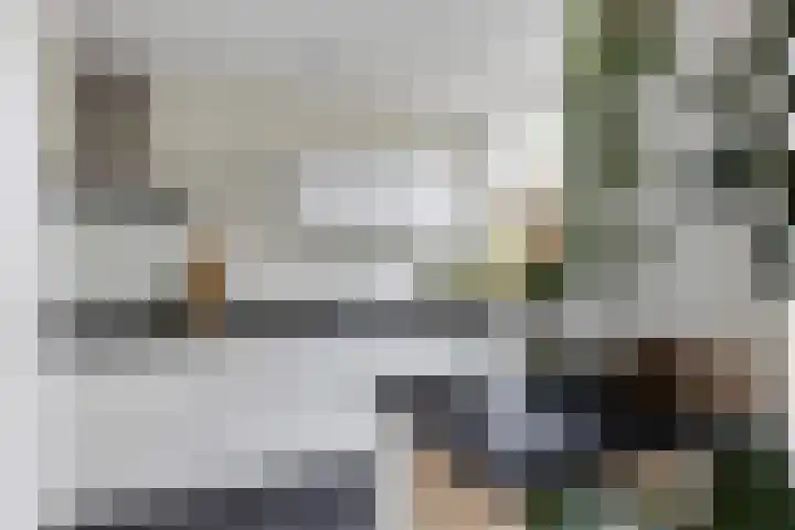 Waterhoenlaan 2 Bilthoven thumbnail 5