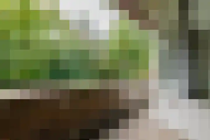 Waterhoenlaan 29 Bilthoven thumbnail 22