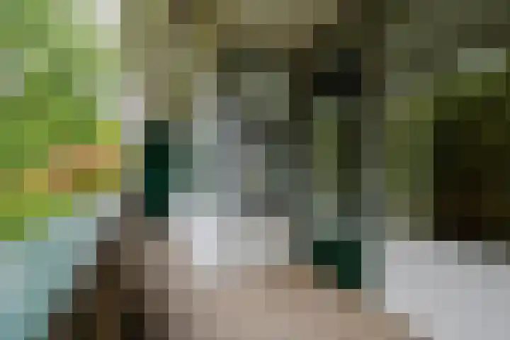 Waterhoenlaan 29 Bilthoven thumbnail 23