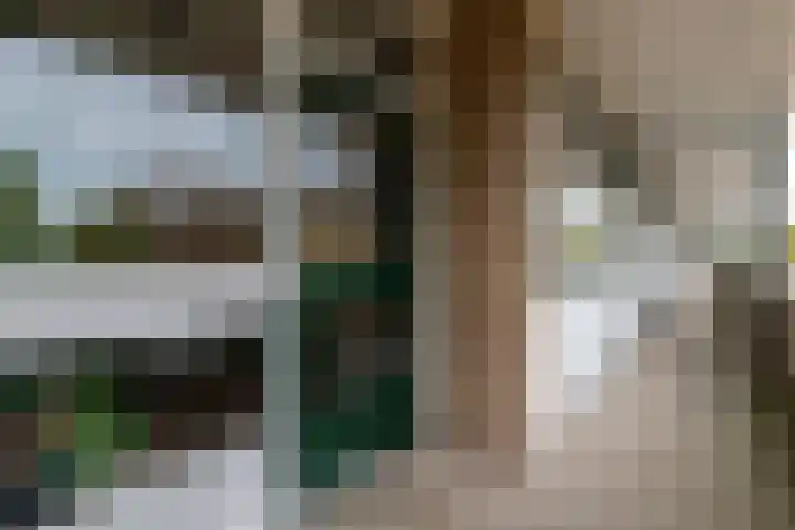 Waterhoenlaan 29 Bilthoven thumbnail 4