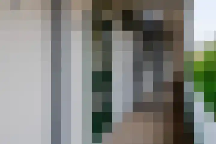 Waterhoenlaan 29 Bilthoven thumbnail 5
