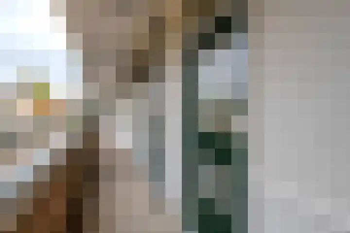 Waterhoenlaan 29 Bilthoven thumbnail 6