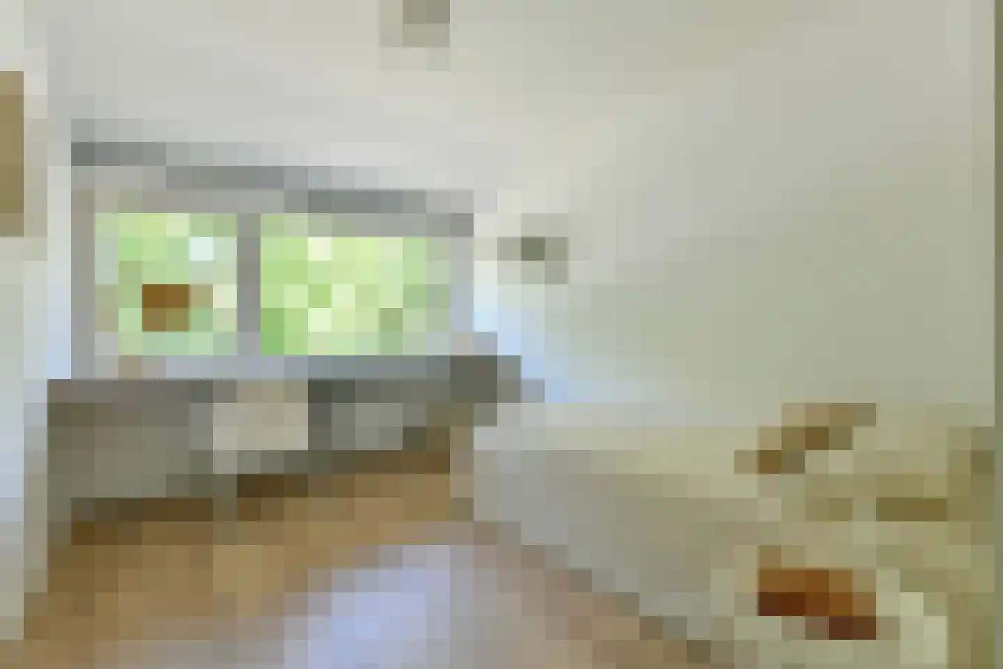 Waterhoenlaan 41 Vinkeveen thumbnail 21