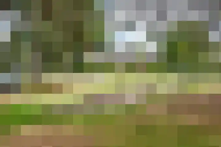 Waterhoenlaan 47 Bilthoven thumbnail 27