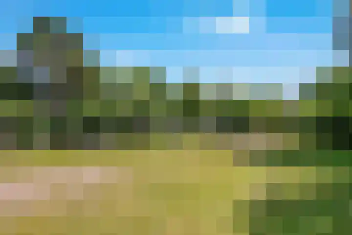Waterhoenlaan 47 Bilthoven thumbnail 28