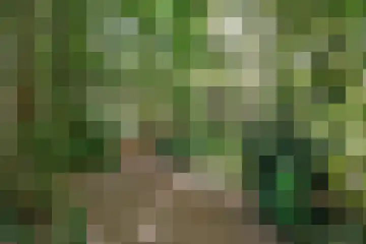 Waterhoenlaan 47 Bilthoven thumbnail 29