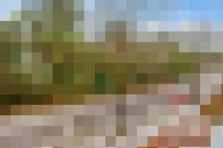 Waterhoenlaan 47 Bilthoven thumbnail 35