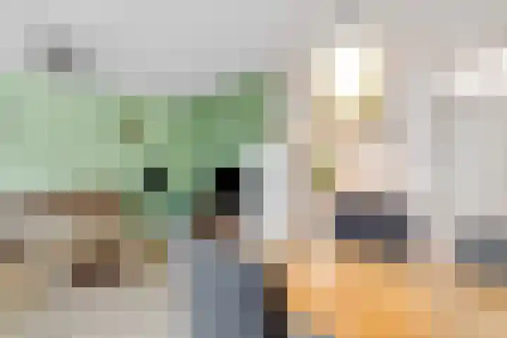 Waterhoenlaan 47 Bilthoven thumbnail 8