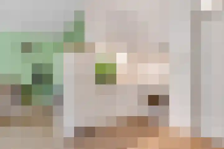 Waterhoenlaan 47 Bilthoven thumbnail 9