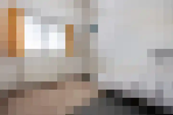 Waterhoenlaan 89 Zeist thumbnail 23