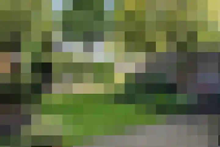 Waterhoenlaan 89 Zeist thumbnail 26