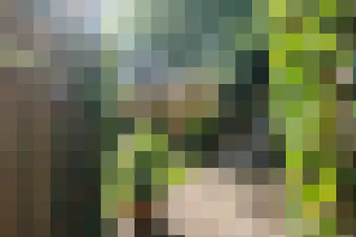 Waterhoenlaan 89 Zeist thumbnail 29