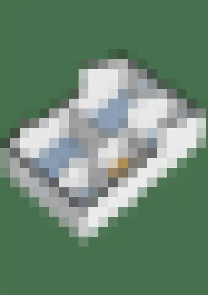 Waterhoenlaan 89 Zeist thumbnail 34